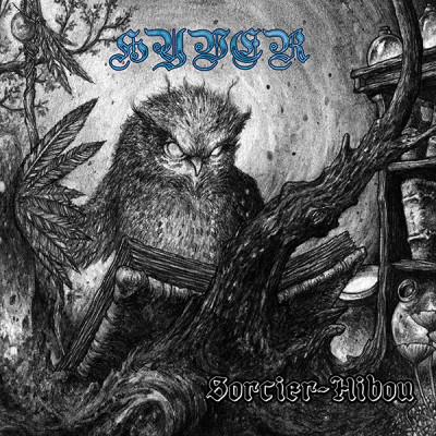 Hyver – Sorcier-Hibou  DigiSleeve